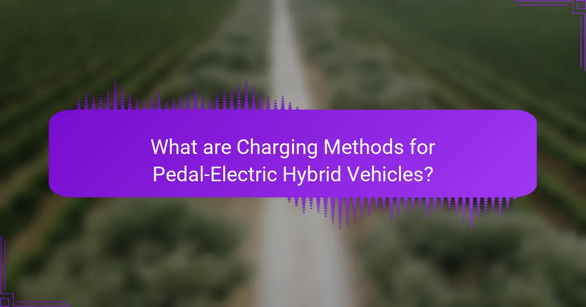 What are Charging Methods for Pedal-Electric Hybrid Vehicles?